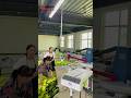 Chendi 4 printing heads octopus printing machine,Small in size but powerful in results!