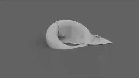 Renderman cloth test