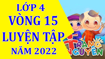 Vòng 15 - Trạng nguyên tiếng việt lớp 4 #thayquy #vong15trangnguyentiengvietlop4