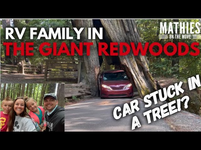 All Videos