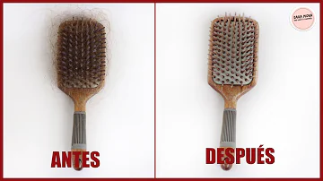 ¿Cómo se desinfecta un cepillo para el pelo después de tener piojos?
