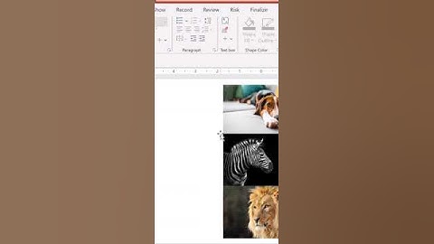 Display Pop-Up Text In PowerPoint (Screen Tip Mouseover) #shortvideo #powerpoint #viral #windows
