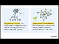 Management is for Weak Models: Why "Strong" AI Needs Total Freedom
