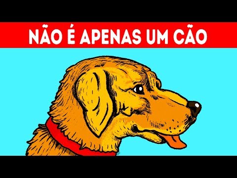 Vídeo: Ilusões De ótica