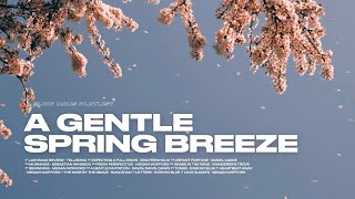 Playlist | Piano relaxing music to start the spring day. Soft work music to listen. screenshot 2