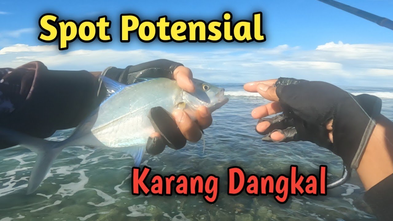 Teknik tepat! Mancing Casting pakai soft lure dikarang dangkal! Dijamin mantap