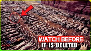 A Drone Makes CHILLING DISCOVERY in Canyon that No One Should have Seen! Defy All Logic Documentary