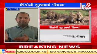 Gujarat's forest department develops SIMBA software for protection of Asiatic Lions | Junagadh | TV9 screenshot 4