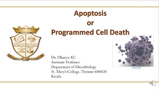 Apoptosis or Programmed Cell Death - Basics