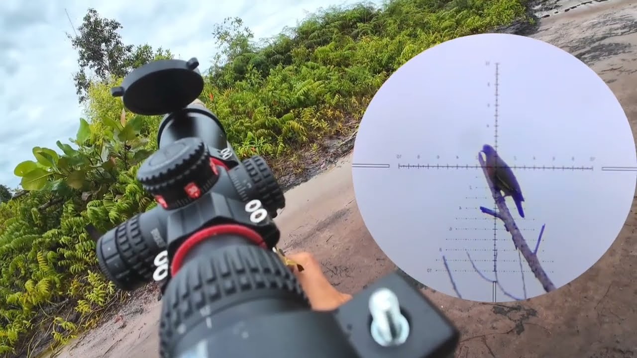 HUNTING PUNAI ‼️ WOW PERGAM TIBA2 DATANG