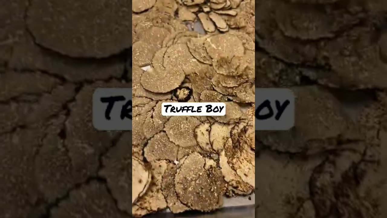 Truffle Boy