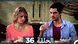 الحلقة 36 اليتيمة - Al Yatima