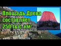 Площадь Древа составляет 250 тыс. км².