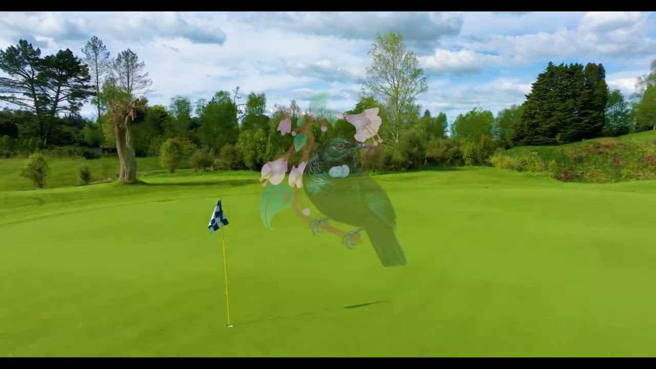 Every Hole at Wairakei Updated 4k