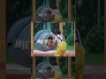 孟子义徐志胜钻轮胎各有各的搞笑2 #奔跑吧