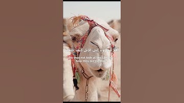 Surah Al-Ghashiyah Quran in English --سورة الغاشية تلاوة الشيخ عبد الرحمن مسعد  #قرآن #قران_كريم