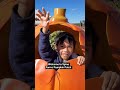Welcome to Spina Farms Pumpkin Patch  #shortvideo