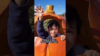 Welcome to Spina Farms Pumpkin Patch  #shortvideo