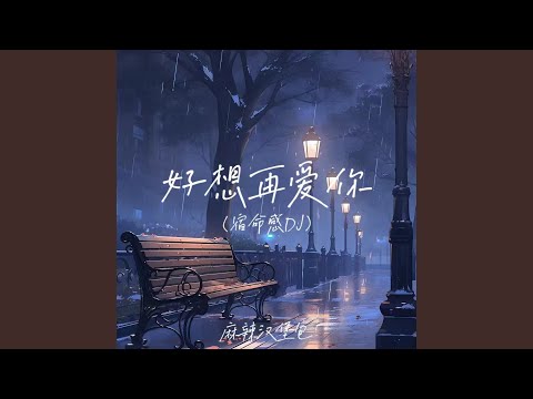 好想再爱你 (宿命感DJ)