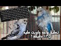 صرفت ملايين على الطيور اكو فائدة من بناء الاقفاص والغرف صرفت ملايين على الطيور اكو فائدة من بناء الاقفاص والغرف