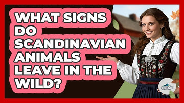 What Signs Do Scandinavian Animals Leave In The Wild? - Unmapping Scandinavia