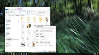 Celebrity Appears to have been started with Windows program compatibility mode enabled Net Worth