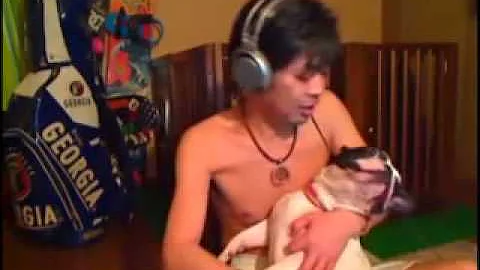 ウナちゃんマン 犬