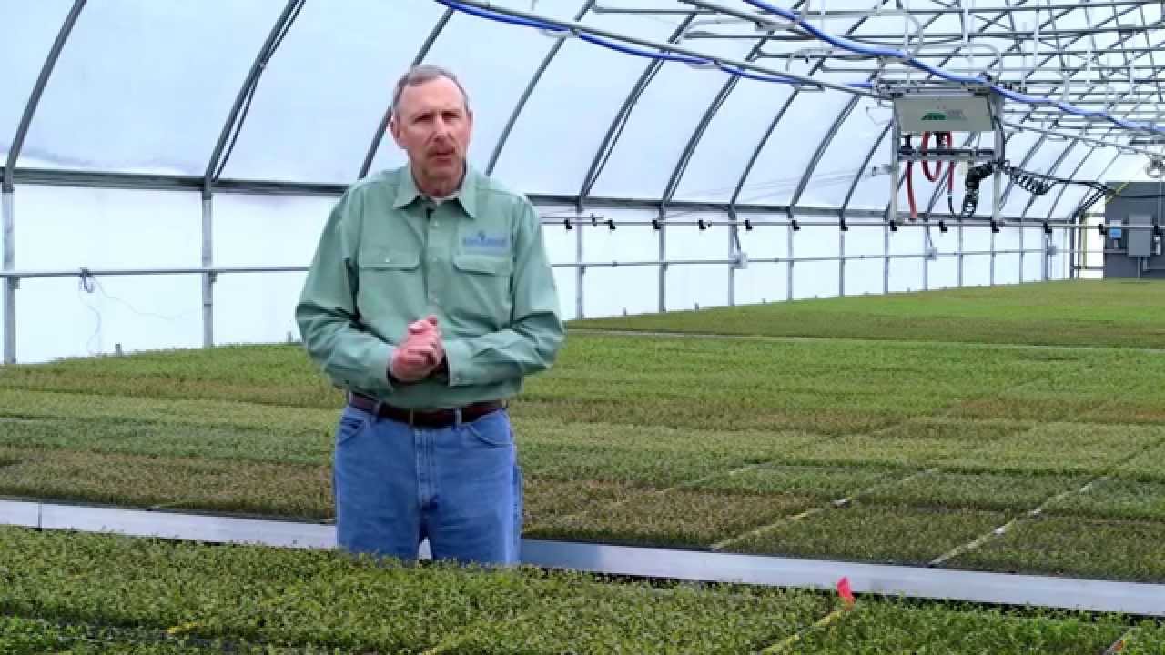 Fall Creek Farm Nursery You Fall Creek Farm Nursery