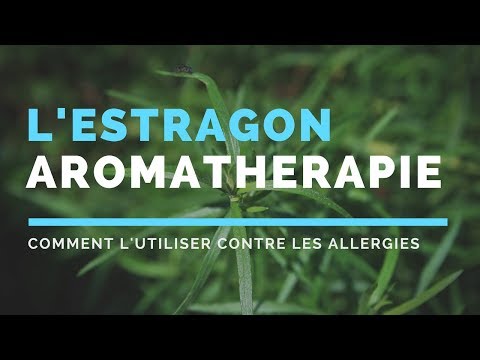 Vidéo: Estragon - Propriétés Utiles, Application