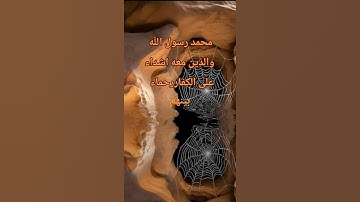 قران كريم راحه نفسيه #فولو #duet #دويتو #صباحالخير #تيك_توك #اكسبلورفولو
