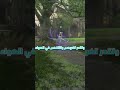 Hogwartslegacy تقدر تسوي كذا 