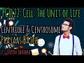 PC8L22: Structure of Centriole and Centrosome in Detail | Functions of Centriole | 9+0 Arrangement