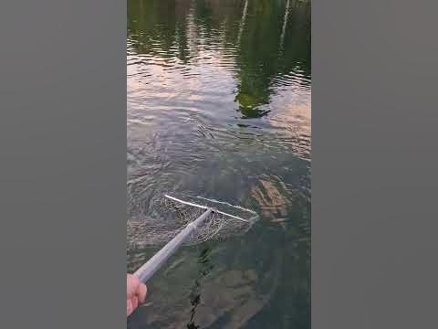 С Дочкой на РЫБАЛКЕ - YouTube