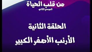 الأرنب_الأصفر_الكبير #من_قلب_الحياة #الموسم_الثاني #الحلقة_الثانية #مايسترو_الحياة #د_حسن_المزين