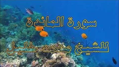 SOURAT ALMAIDA -4K- سورة المائدة (5) - مرتل الشيخ محمد خليل