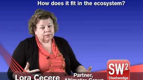 How Does SaaS-Deployed S&OP Technology Fit in the Ecosystem?
