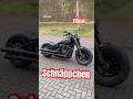 Softail sucht neuen Besitzer #harleydavidson #werkstatt #harley #softail #custombike #umbau #fatboy