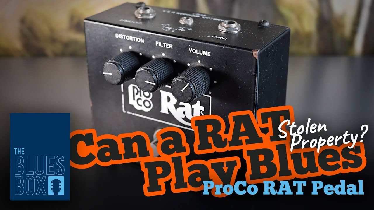 ProCo RAT Large Box Reissue ラットラージボックス