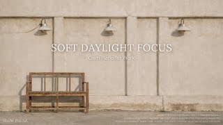 Soft Daylight Focus ☀️ Calm Piano for Work & Clear Thinking | SLOW PAUSE,