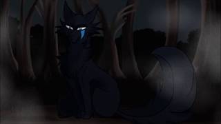 Famous animation practice ( read the description, please) Wealth