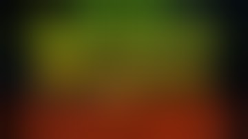 Best Hydroponic Nutrients For Cannabis