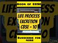 👉 “Excretion in Humans | Life Processes | CBSE Class 10 Biology #Shorts”