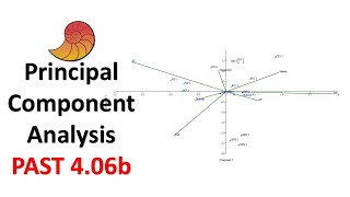 Principal Component Analysis (PCA) | Ordination Analysis | Past 4.06b screenshot 4