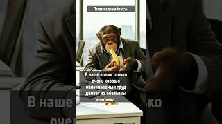 Только оплачиваемая работа имеет смысл #юмор #ржака #прикол #анекдоты