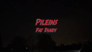 My Fat Diary Teaser I Pilein