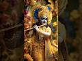 Radhe Krishna ♥️