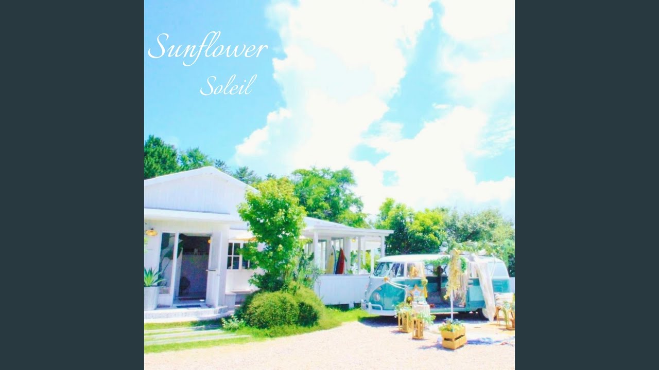 Watch Sunflower on YouTube Watch Sunflower on YouTube