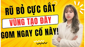 Rũ Bỏ Cực Gắt – Vùng Tạo Đáy Đã Xuất Hiện | Cơ Hội Gom Cổ Phiếu Ngay!
