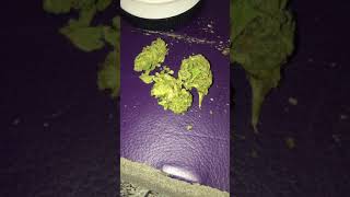 Ak-47 Hemp :Review