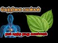 வெற்றிலை பயன்கள்! | Dr Acute | Betel Leaf Uses | #வெற்றிலை #BetelLeaf #vethalai